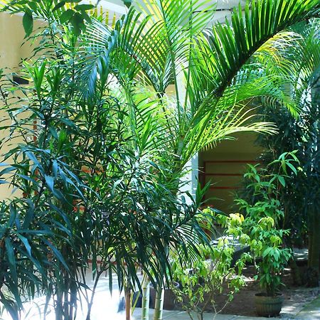 Three V Homestay Kuta (Lombok) Exterior foto