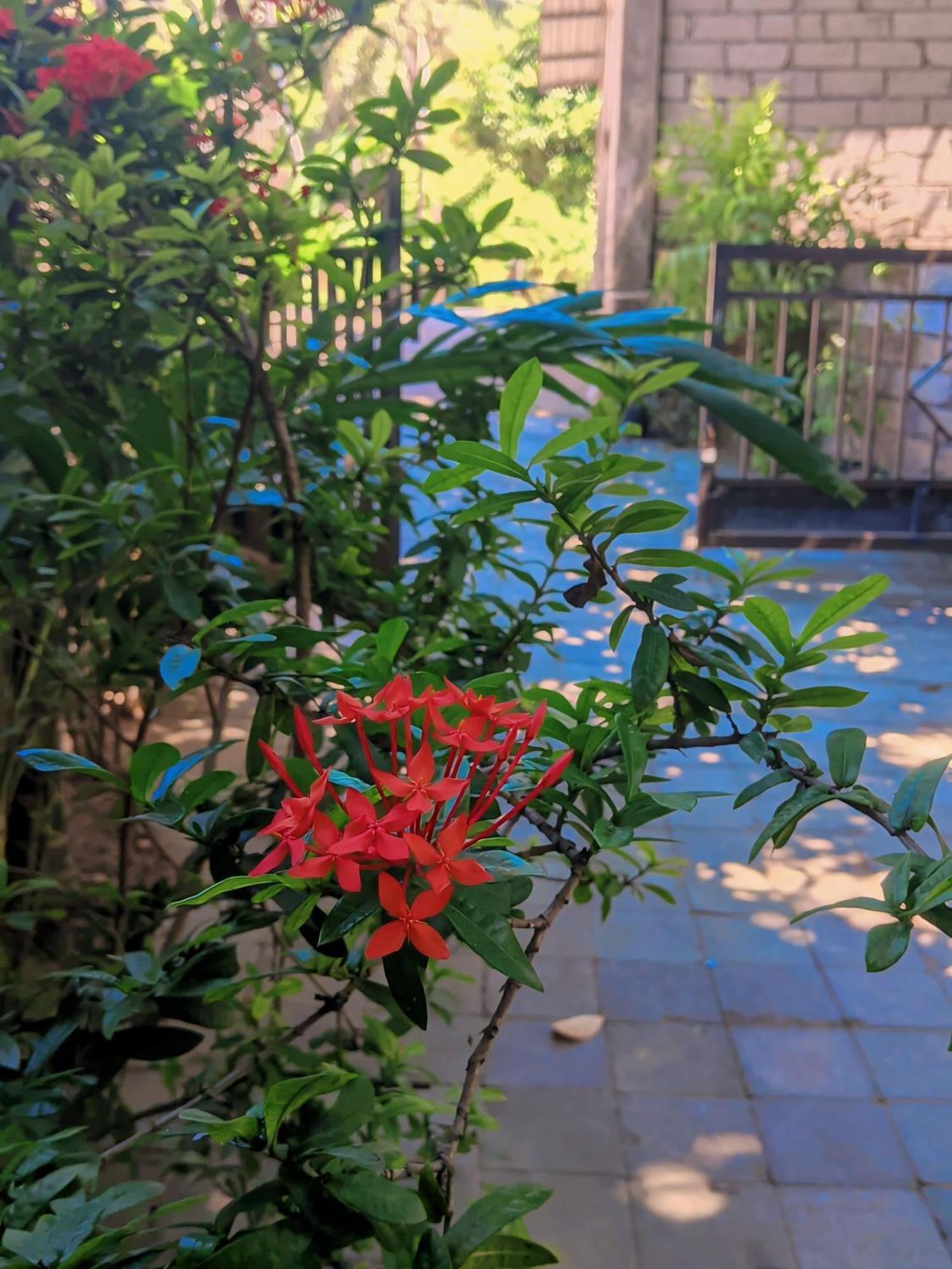 Three V Homestay Kuta (Lombok) Exterior foto