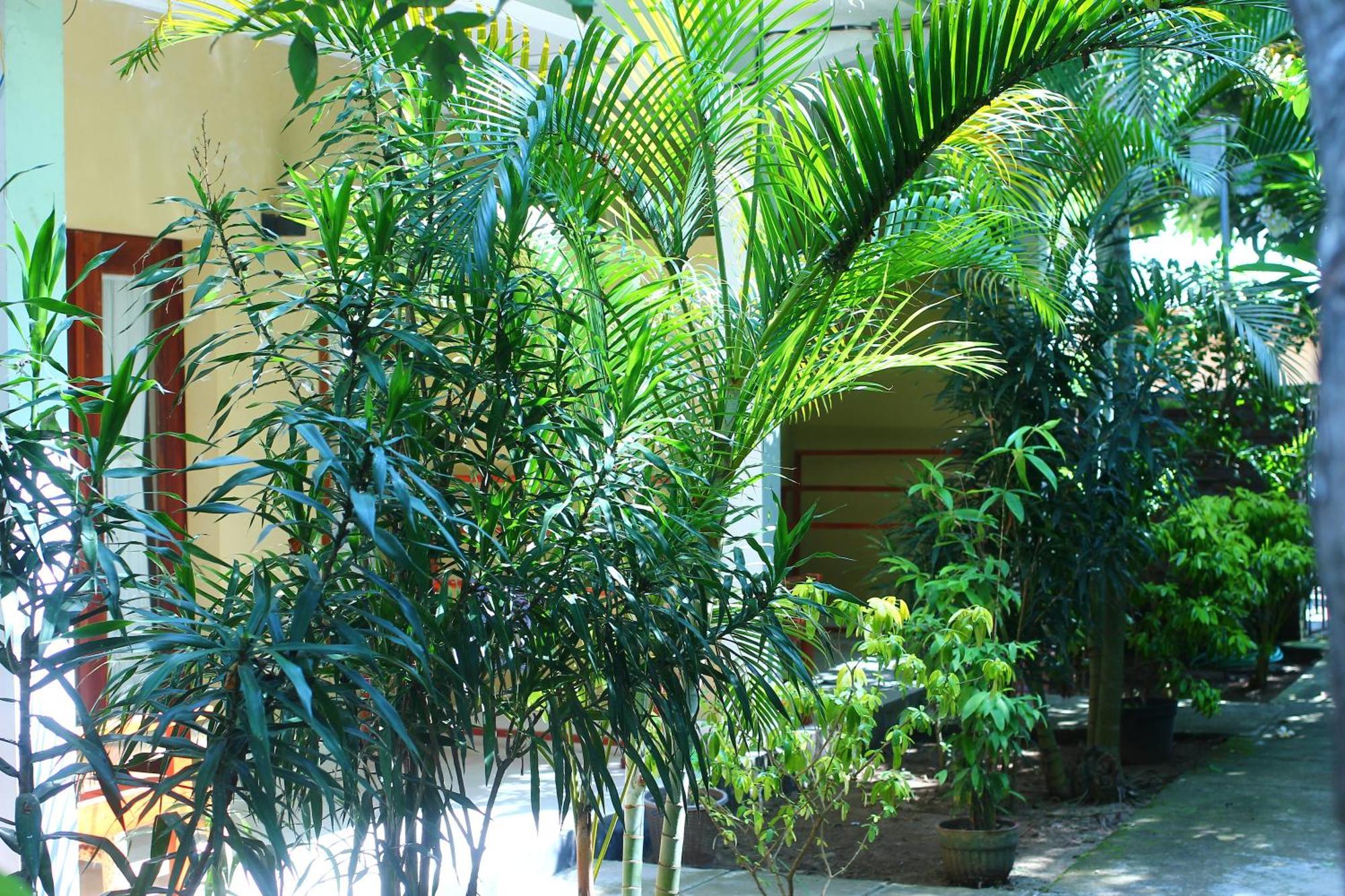 Three V Homestay Kuta (Lombok) Exterior foto