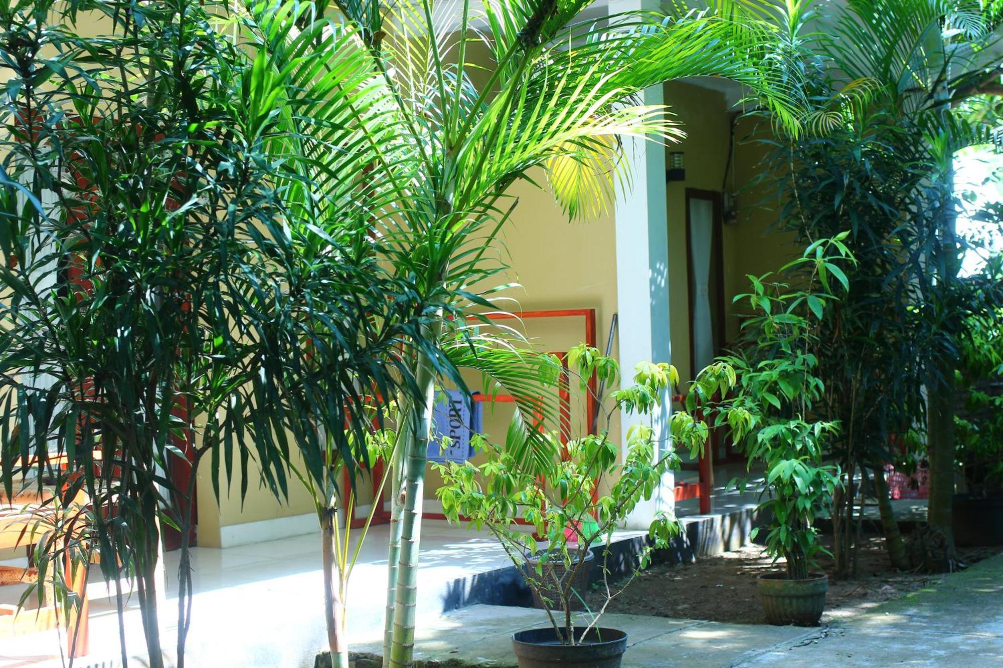 Three V Homestay Kuta (Lombok) Exterior foto