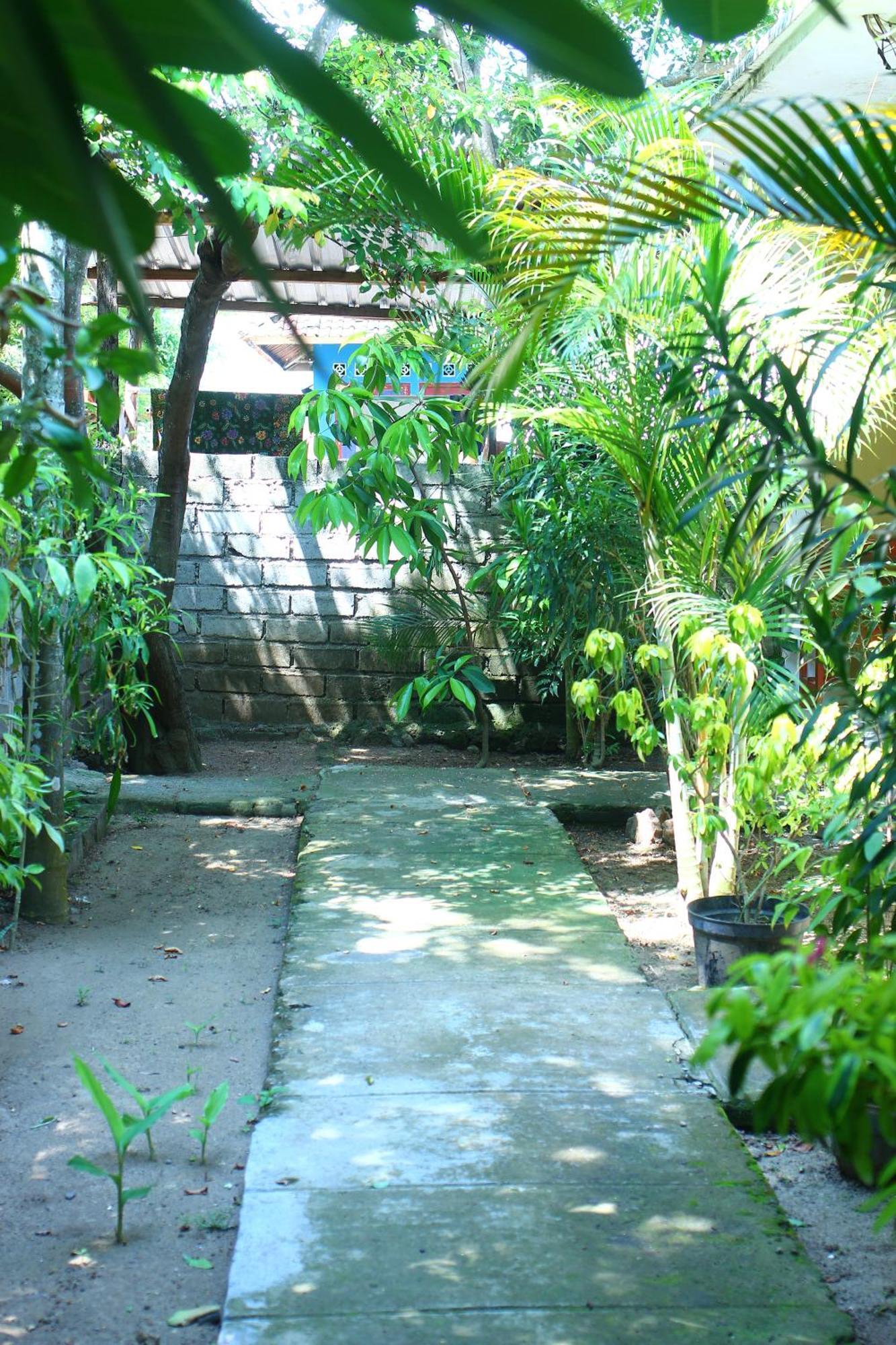 Three V Homestay Kuta (Lombok) Exterior foto