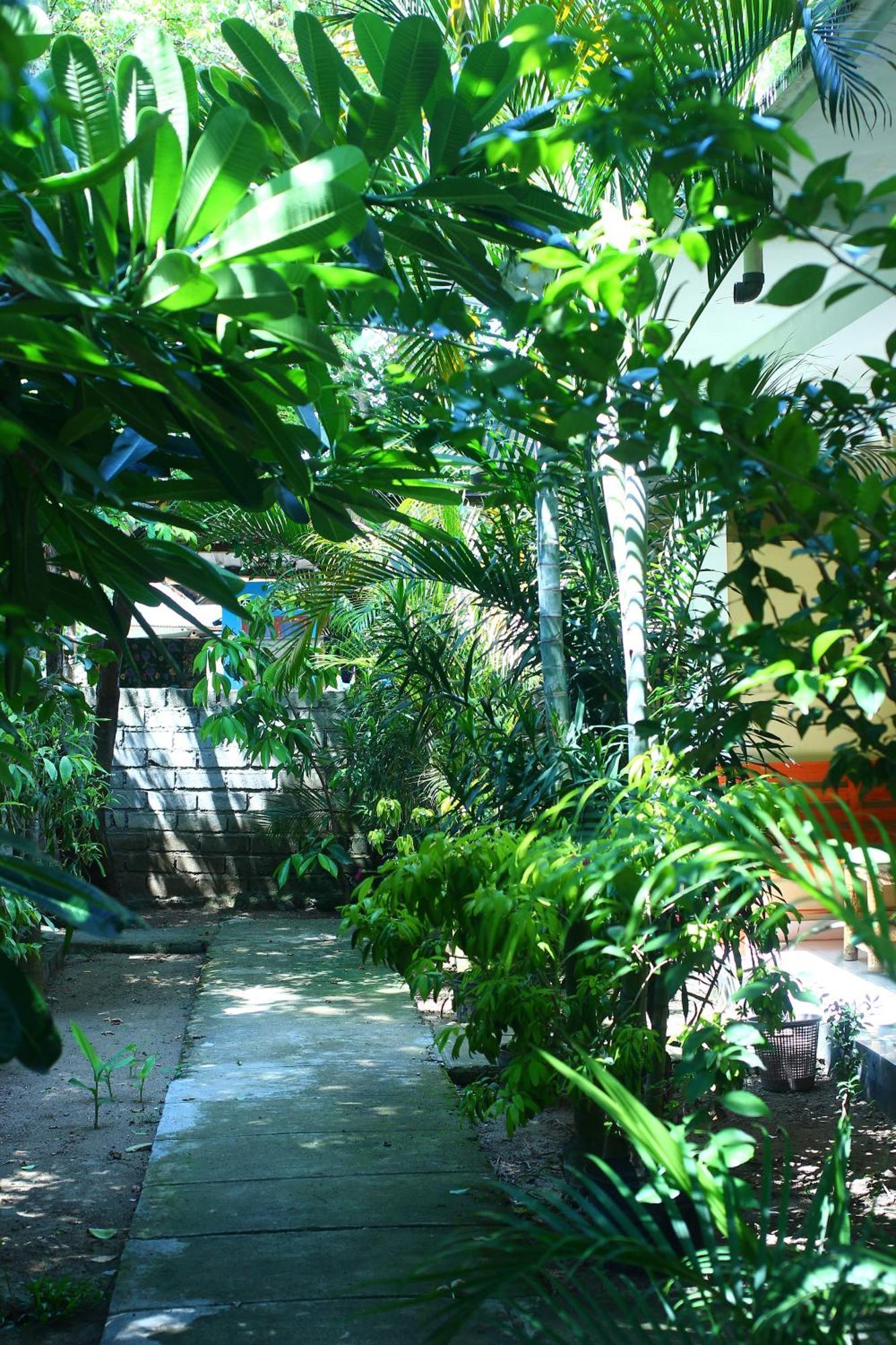 Three V Homestay Kuta (Lombok) Exterior foto