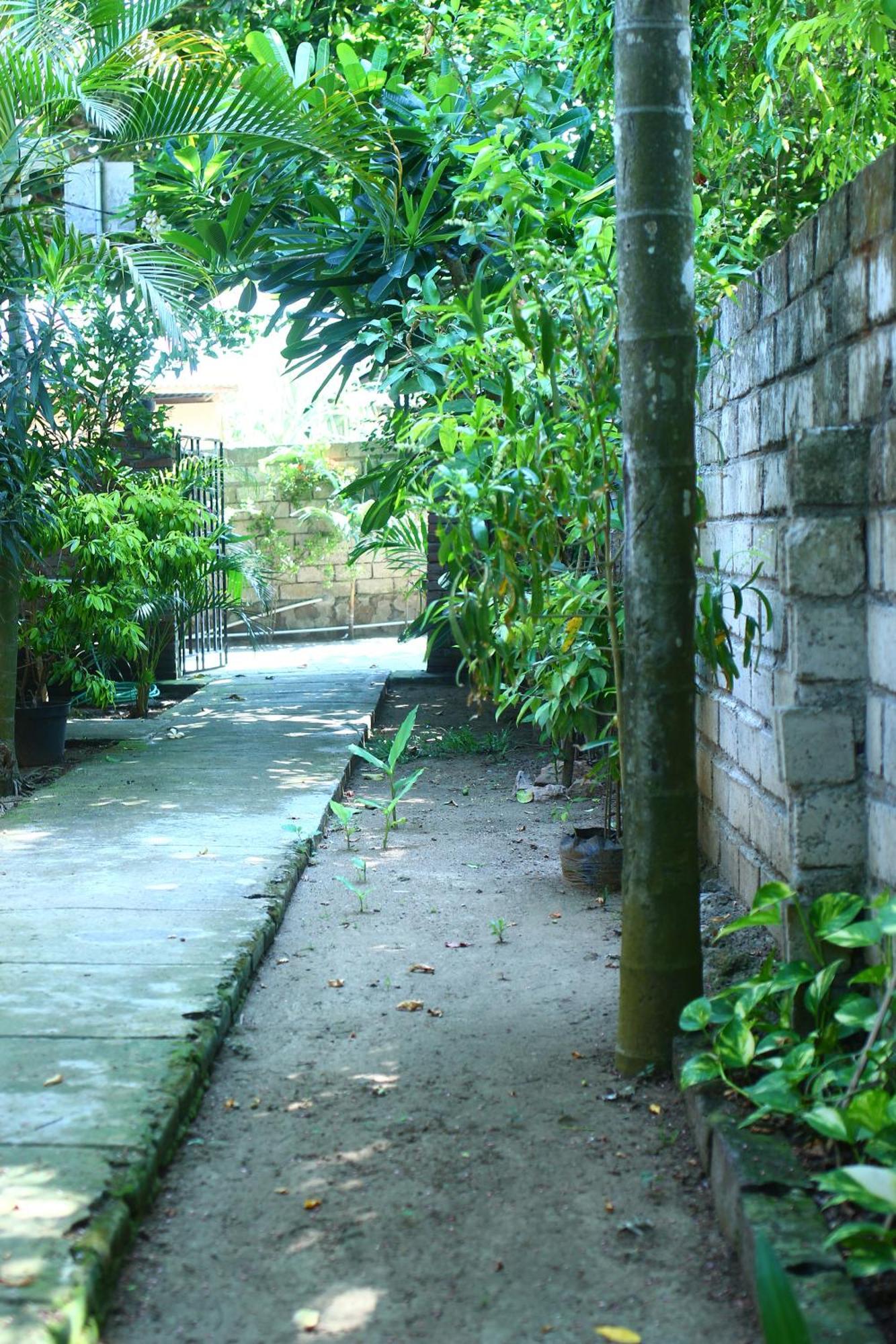 Three V Homestay Kuta (Lombok) Exterior foto
