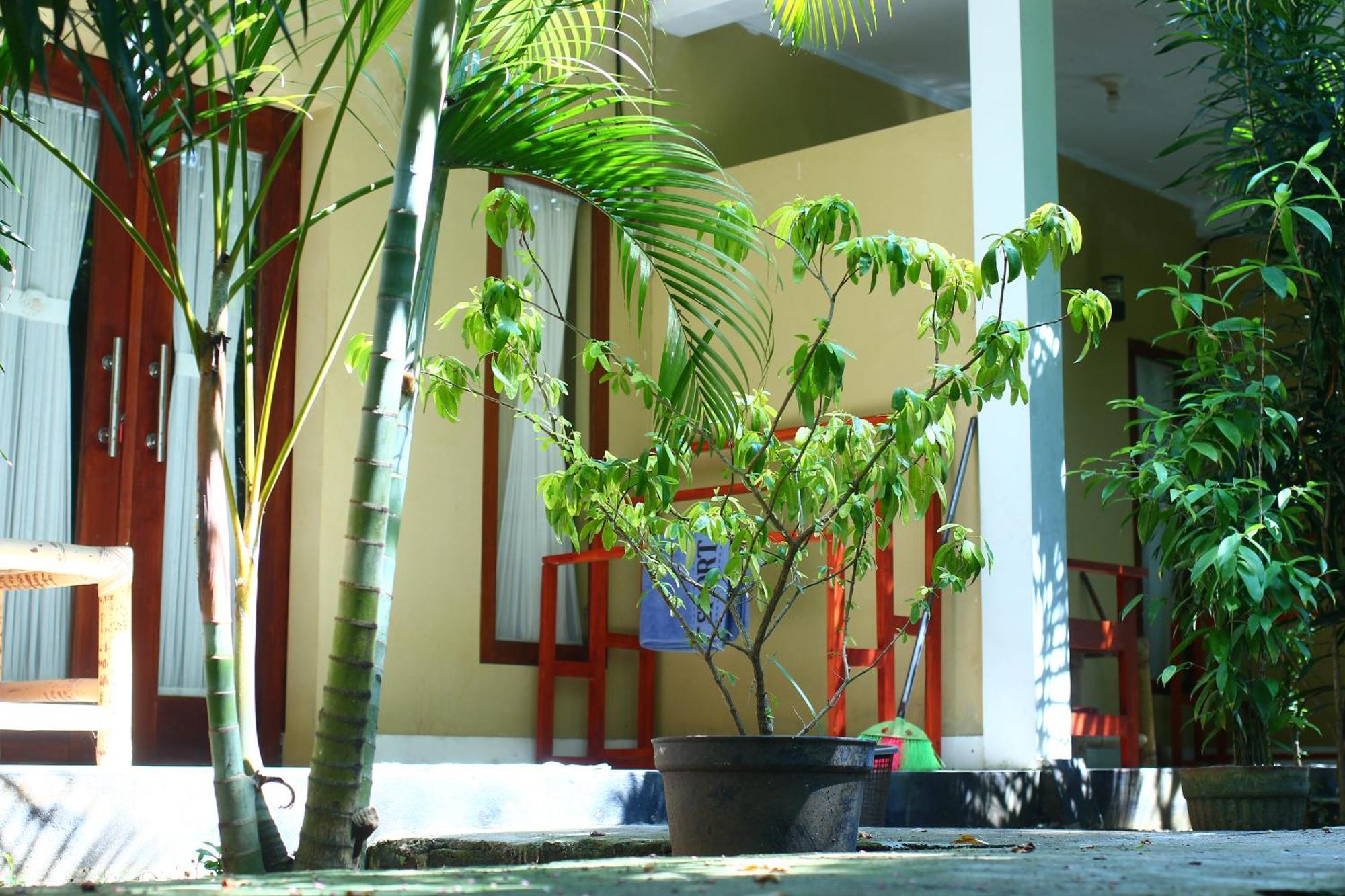 Three V Homestay Kuta (Lombok) Exterior foto